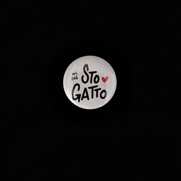 Sto gatto!