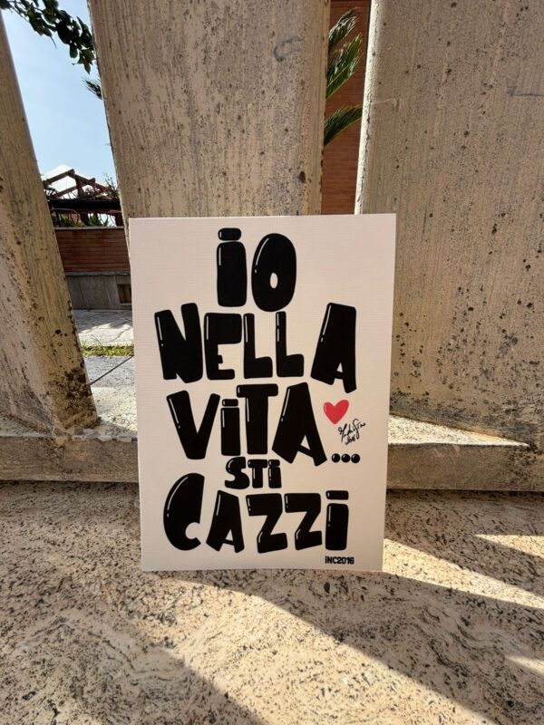 Io nella vita sti cazzi